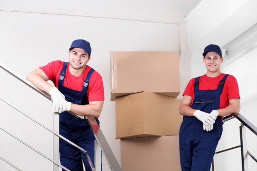 Professional movers handling furniture in Pimlico