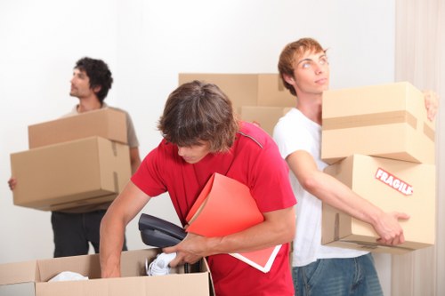 User requesting accessibility support for Removals Pimlico information