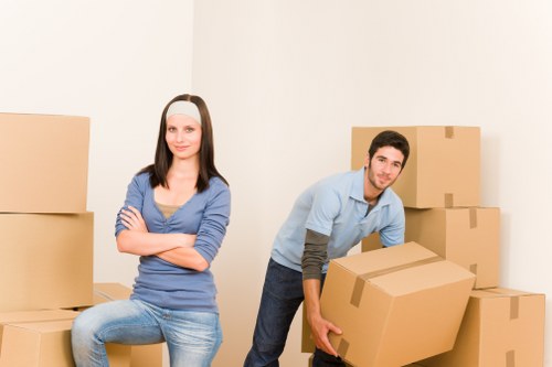 Residential storage needs in Pimlico