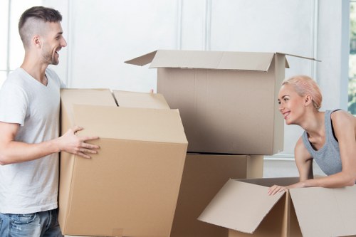 Careful packing and item protection for removals in Pimlico