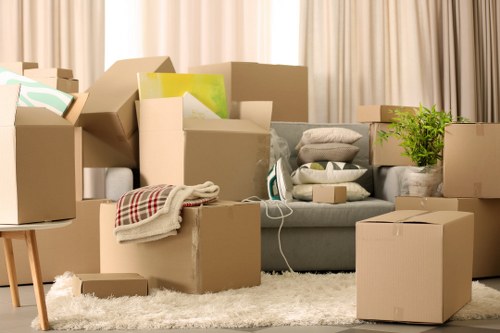 House removalists in Pimlico organizing boxes for transport