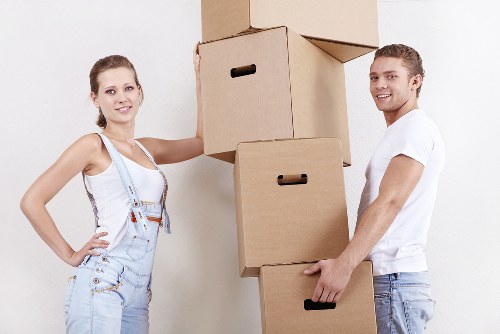 Accessibility-focused webpage layout for Removals Pimlico users