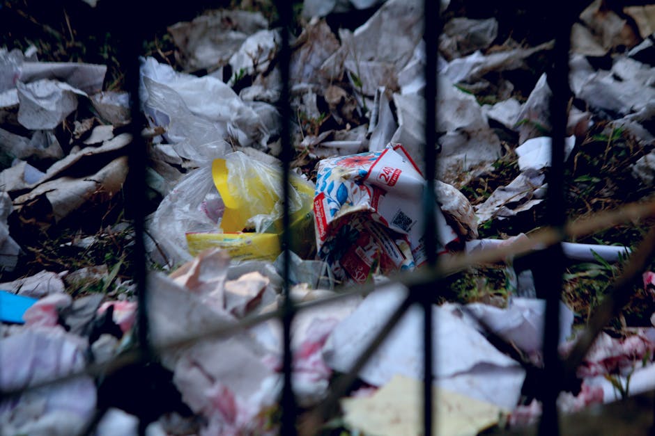 A discarded paper cup lying on a concrete doorstep outside a residential property, with a textured stone surface and a wooden step. In the background, there is a glimpse of a green lawn and a wooden g