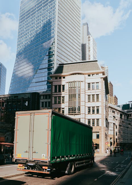 Same-day Pimlico removals: availability and booking tips